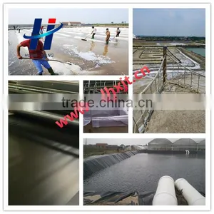 Black Color Hdpe Geomembrane Used in Salt Industry Anti-seepage thumbnail-2