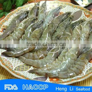 HL002 Shrimp Exporters Raw Frozen Shrimp thumbnail-3
