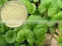 Centella Asiatica Extract thumbnail-1