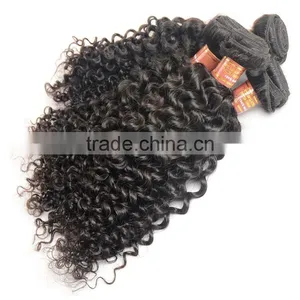 Unprocessed Kinky Curly Virgin Malaysian Hair Wholesale Malaysian Human Hair Weaves Curly Extension thumbnail-4