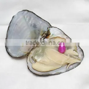 Raw Pearls Freshwater Cultured Love Wish 7.5-8mm Rice Pearl Oyster thumbnail-4
