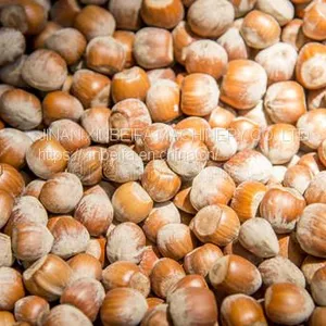 Hazelnut Drying Machine thumbnail-5
