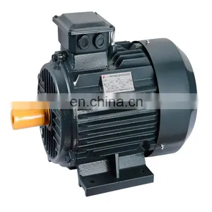 2800rpm 0.25kw Single Phase Capacitor Start Induction Motor thumbnail-1