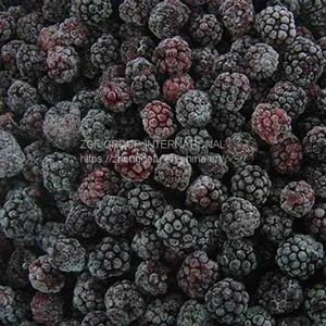Frozen IQF Blackberry thumbnail-2