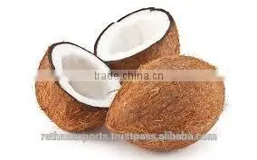 Fresh Vegetables and Fruits in Organic thumbnail-6