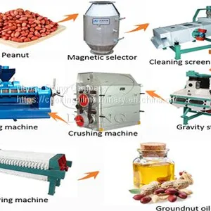 Peanut Oil Press Machine Equipement to Extract Peanut Oil Cooking Oil Process Machine thumbnail-1