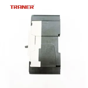 TRMF1-63 Thermal Magnetic Circuit Breaker 2P 10A 20A 30A 40A 50A 63A Main Switch thumbnail-4