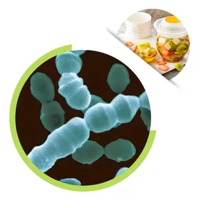 Chinese Supply Natural Leuconostoc Mesenteroides Freeze Dried Probiotics Powder For Pickles thumbnail-1