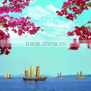 3D Lenticular Adverstising Pictures thumbnail-1
