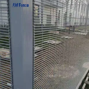 Galvanized and PVC Powder Coated Welded Wire Mesh for Durable Garden Fencing thumbnail-1