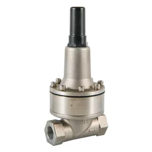 High-End Pressure Relief Small Pilot Valve thumbnail-1