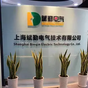 Shanghai Binqin Electrical Technology Co., Ltd. company overview - view 1 thumbnail