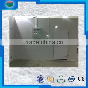 Welcome Wholesales Special Discount Cold Storage/cold Room for Fresh Fish Meat thumbnail-4