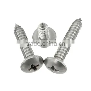 Stainless Steel Cross Flat Head Tapping Screw Thumb Head Tapping Screw thumbnail-1