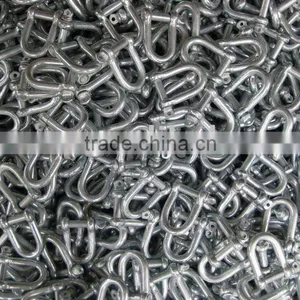 European Type Large Dee Shackle thumbnail-1