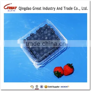 Plastic Fruit Packaging Blueberry Container thumbnail-1