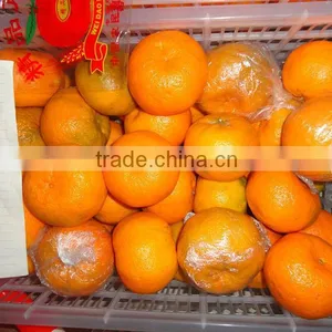 Hotsales! Big Mandarin 75mm thumbnail-1