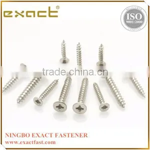 Self Tapping Screw Galvanized Steel Tapping Screw thumbnail-1