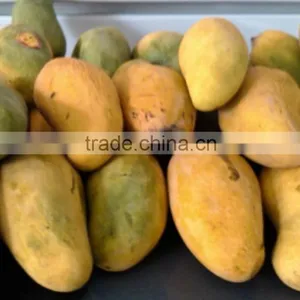 Best Quality Fresh Mango thumbnail-6