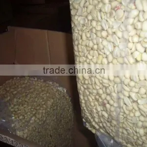 We Are Supply Peanut,blanched Peanut Kernels in Long Shape thumbnail-3
