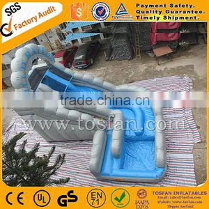 Giant Infaltable Water Slide for Amusement Park A4026 thumbnail-5