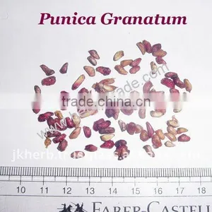 POMEGRANATE SEED thumbnail-1