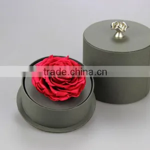 2016 Yiwu Aimee Wholesale Valentine's Day Gift Preserved Fresh Cut Flower(AM-PF04) thumbnail-4