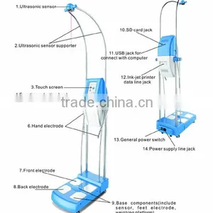 Body Composition Analyzer for Fat Water Muscle Detector With CE Approval thumbnail-3