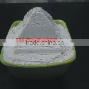 Dehydrated Onion Powder thumbnail-2