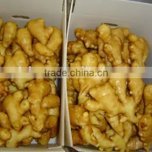 Organic Fresh Ginger thumbnail-6