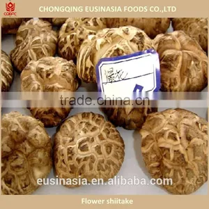 Dry Shiitake Flower Shiitake thumbnail-1