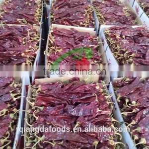 CHILE GUAJILLO SECO AND PAPRIKA thumbnail-4