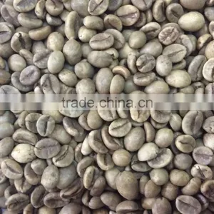 Robusta Type Green Coffee Beans,new Crop,washed,polished Grade AA 18 thumbnail-1