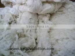INDIAN ORIGIN COTTON WASTE ROVING SUPPLIER thumbnail-1