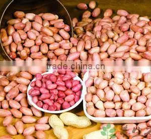 China Good Quality Oil Extractor Peanuts thumbnail-2
