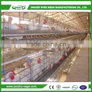 Can Add Automatic Drinking Water System Best Price Broiler Cage thumbnail-1