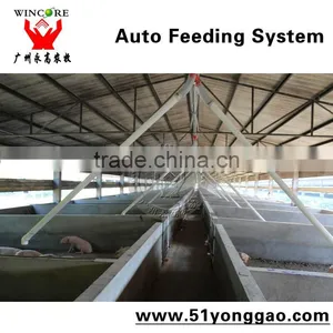 Auto Feeding System for Pig Farm thumbnail-4