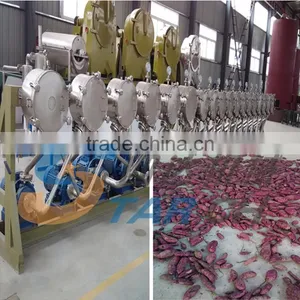 Hot Selling Full Automatic Sweet Potato Processing Machine thumbnail-1