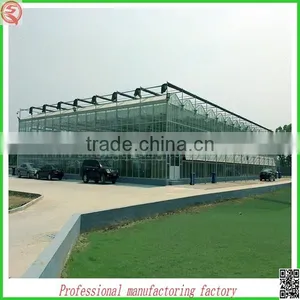 Commercial/agricultural Large Span Glass Green House for Strawberry/tomatoes thumbnail-3