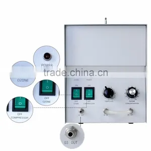 5g/h Air Purificatoire Kill Virus et Odeur 99 Ozone Air Purification Equipment thumbnail-5