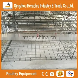 Heracles Factory Price Poultry Farming Equipment H Type Chicken Layer Cage for Sale thumbnail-5