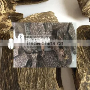 Vietnam Agar Wood Chips or Oud Wood Chips Available in Stock With Cheap Price thumbnail-1