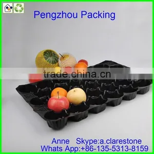 Pengzhou Plastic Food Tray With Lid thumbnail-1