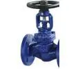DIN Globe Valve thumbnail-1