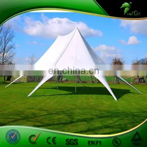 China Marquee Tents,double Star Tent With Two Peaks,high Peak Canopy Tent for Wedding thumbnail-1