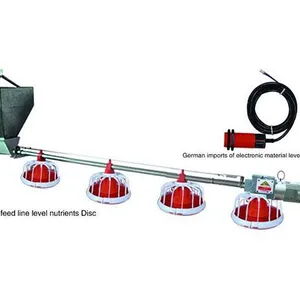 Broiler Chicken Feeding System and Chicken Farm Equipment thumbnail-1