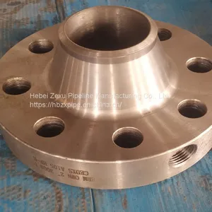 Forged Flange, A105 Hole Plate Flange thumbnail-1