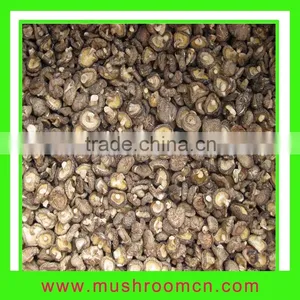 Dried Shiitake thumbnail-1