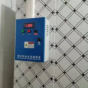 Rapid Freezing Room，Sub-zero Cold Storage，Small Vegetable Cold Room thumbnail-2