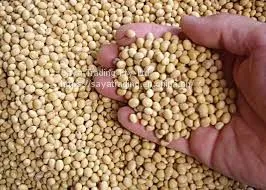 Soybean thumbnail-1